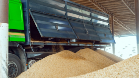 21 декабря в госфонд закупили 41,715 тысячи тонн зерна